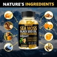 thumbnail image 4 of VecNythra Sea Moss Black Seed Vitamins Gummies – Ashwagandha Turmeric Shilajit Elderberry – 60 Gummies, 4 of 7