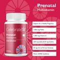 thumbnail image 2 of Celebrate Vitamins Bariatric Prenatal Vitamins with Folate (Folic Acid), Vitamin A, Iron, and Choline, 60 count, 2 of 5
