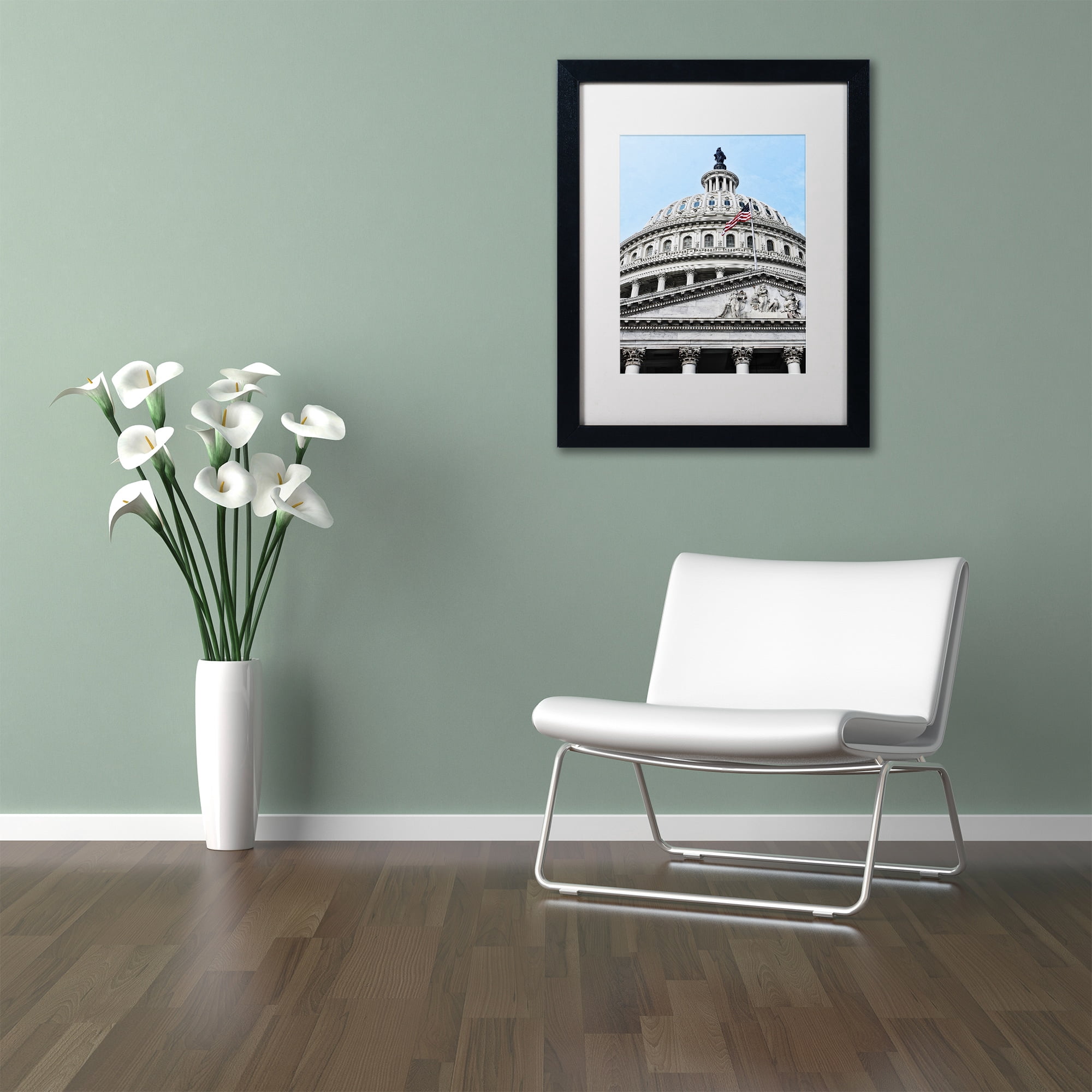 Trademark Fine Art "Dome of the US Capitol" Canvas Art by Gregory O'Hanlon, White Matte, Black Frame