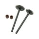 thumbnail image 1 of Valvula Admision/Escape Set Vento Nitrox 250 T2 21-22 W-Standard Multicolor, 1 of 3