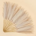 thumbnail image 6 of 30 Pcs Pampas Grass Decor 21.7" Fluffy Faux Short Brown Pampas Grass Artificial Small Pompas Grass Flower Vase Filler for Home Wedding Living Room Wall Party Decoration, 6 of 11