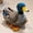 Blue Gray, variant on Delightful Bird Plush Toys, 9.8" Stuffed Animal, Cute and Soft, Ideal for Students Graduation Decoration , Perfect Gift for Anyone Who Appreciates Unique Plush Toys