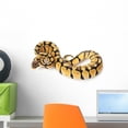thumbnail image 1 of Pastel Ball Python Wall Decal by Wallmonkeys Peel and Stick Graphic (18 in W x 10 in H) WM169976, 1 of 4