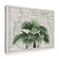 thumbnail image 2 of Trademark Fine Art Andrea Haase Tropical Empire No3 Canvas Wall Art, 2 of 4