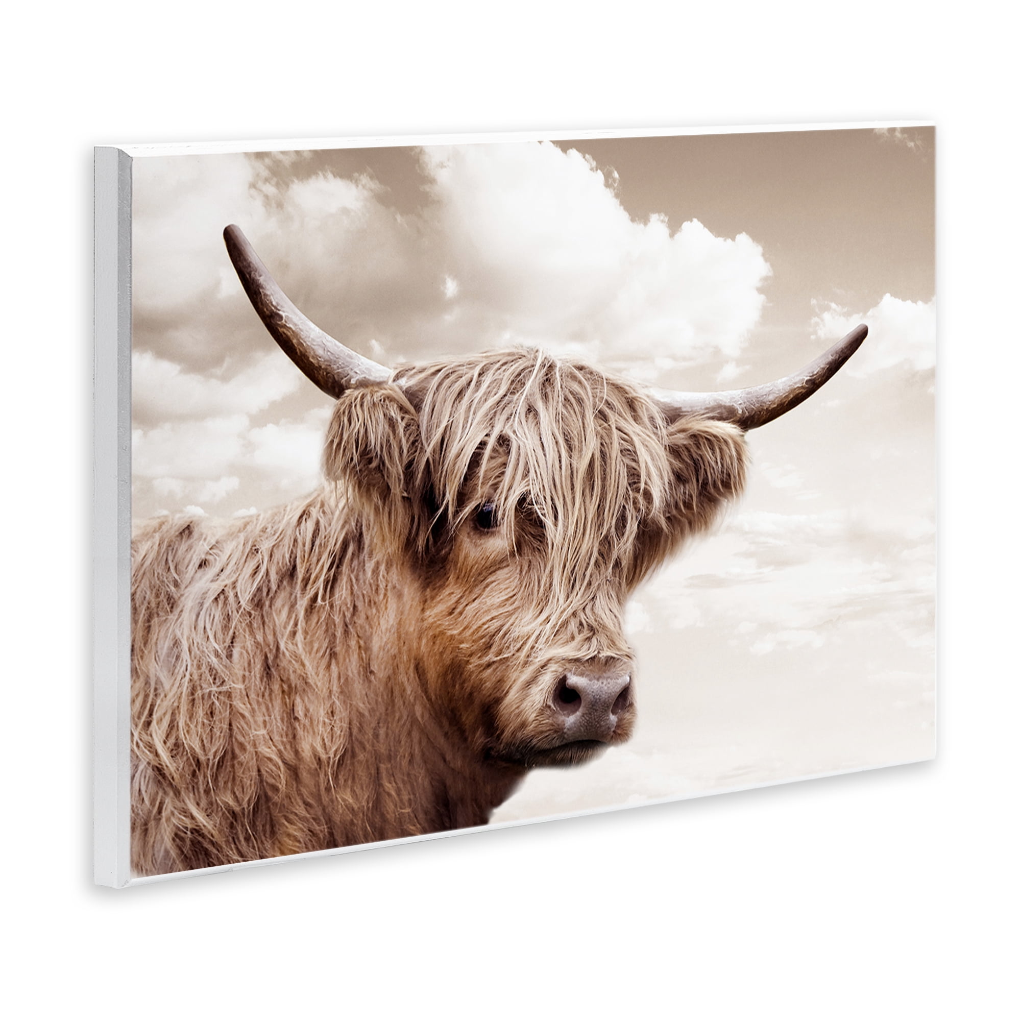 Stupell Industries Shaggy Highland Cow & Clouds Wall Plaque Art, design by CAD Designs