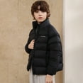thumbnail image 5 of Kiijoy Toddler Boys Padded Coat Stand Up Collar Winter Warm Puffer Jacket, Sizes 2-3, 5 of 5