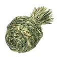 thumbnail image 2 of GROWTH TANK Small Animals Chewing Ball Pet Chew Grinding Chewable Teething Activity Toys for Pineapple, 2 of 9