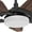 Walnut, variant on Voyager 52inch Gold Smart Ceiling Fan with Remote control with phone App