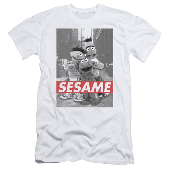 Sesame Street Sesame S/S Adult 30/1 T-Shirt White