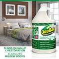 thumbnail image 4 of Concentrado desinfectante y eliminador de olores OdoBan 3,78 L, paquete de 2, 4 of 5
