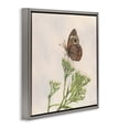 thumbnail image 4 of Stupell Industries Spring Offerings Butterfly Animals & Insects Painting Gray Floater Framed Canvas Art Print Wall Art, 25 x 25, 4 of 10