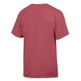 thumbnail image 3 of Men's ComfortWash Red Washington State Cougars Flag T-Shirt, 3 of 3