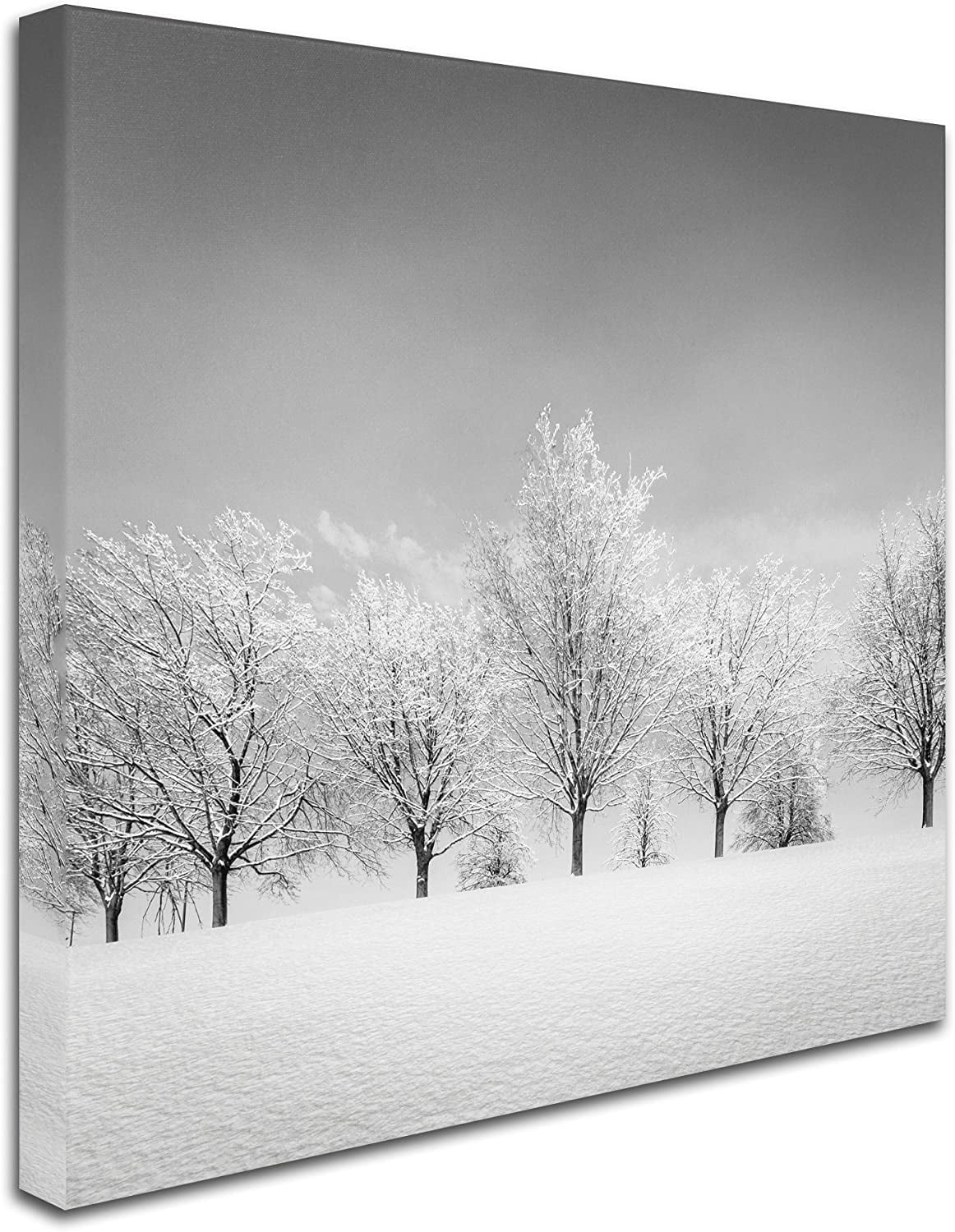 Dave MacVicar 'Ice Storm' Canvas Art