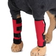thumbnail image 3 of The hind leg joint wrap protects the wound while it heals, compresses the wrap, 3 of 5