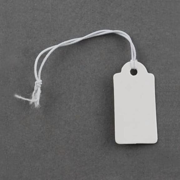 100Pcs Paper Price Cards Marking Tags Jewelry Price Tags Hang Price Labels for Clothes Jewelry Gifts(White) Display Tags Writable Blank Kraft Gift Tags