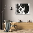 thumbnail image 3 of Karyn Millet 18x13 Gallery Wrapped Canvas Wall Art Titled - King Charles Spaniel, 3 of 4