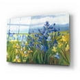 thumbnail image 2 of Epic Art 'Blue And Yellow Flower Field' by Carol Rowan, Acrylic Glass Wall Art, 24"x16", 2 of 8