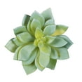thumbnail image 4 of Vickerman 4" Artificial Green/Gray Succulent Pick , Set of 6, 4 of 5