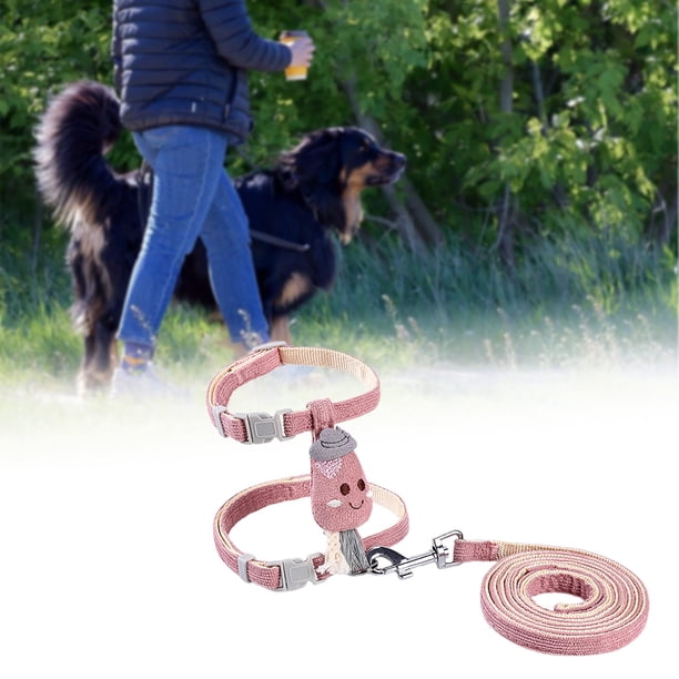 Correas ajustables para mascotas Correas de cuero para perros y gatos para pasear y entrenar en interiores y exteriores Cómodo diseño de poliéster