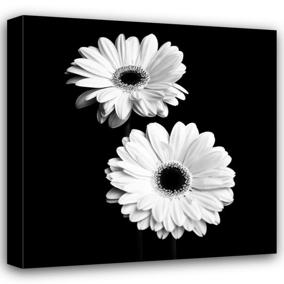 Jeff Maihara 28x28 Gallery Wrapped Canvas Wall Art Titled - Gerbera Portrait I