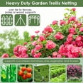 thumbnail image 3 of Fymlhomi 2PCS 6x16.4Ft Trellis Netting for Outdoor Climbing Plants, Garden Plant Trellis Netting with 100PCS Zip Ties for Cucumber, Tomato, Vine, Vegetable Fruit and Flowers, 3 of 7