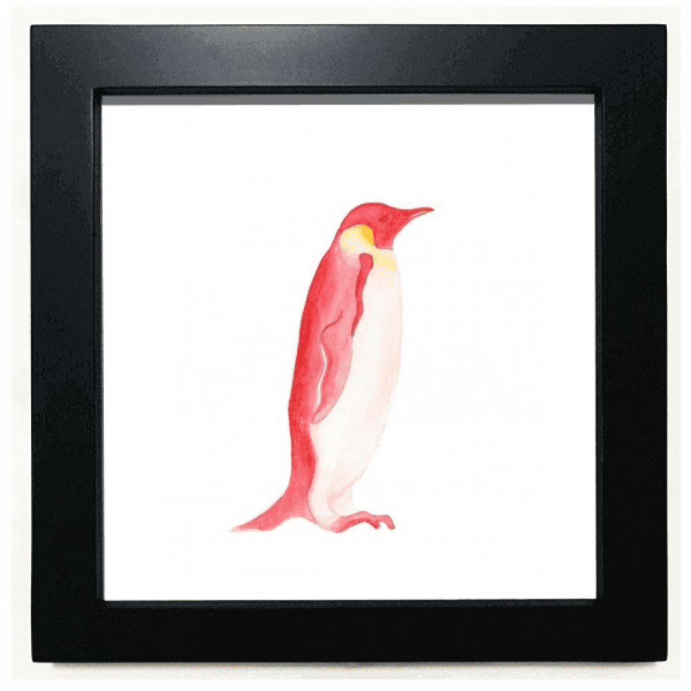 IUCN Endangered Animals Red Emperor Penguin Black Square Frame Picture