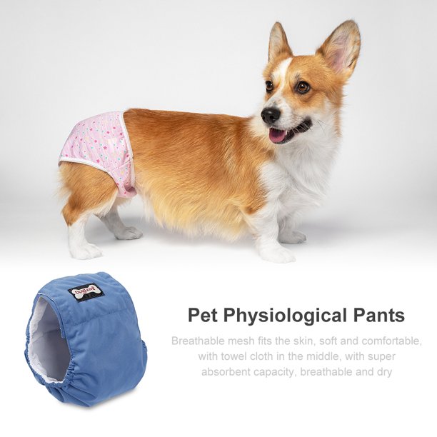 Pañales fisiológicos para perros y niñas pantalones cortos lavables suaves ropa Wdftyju interior para mascotas bragas sanitarias XS2XL