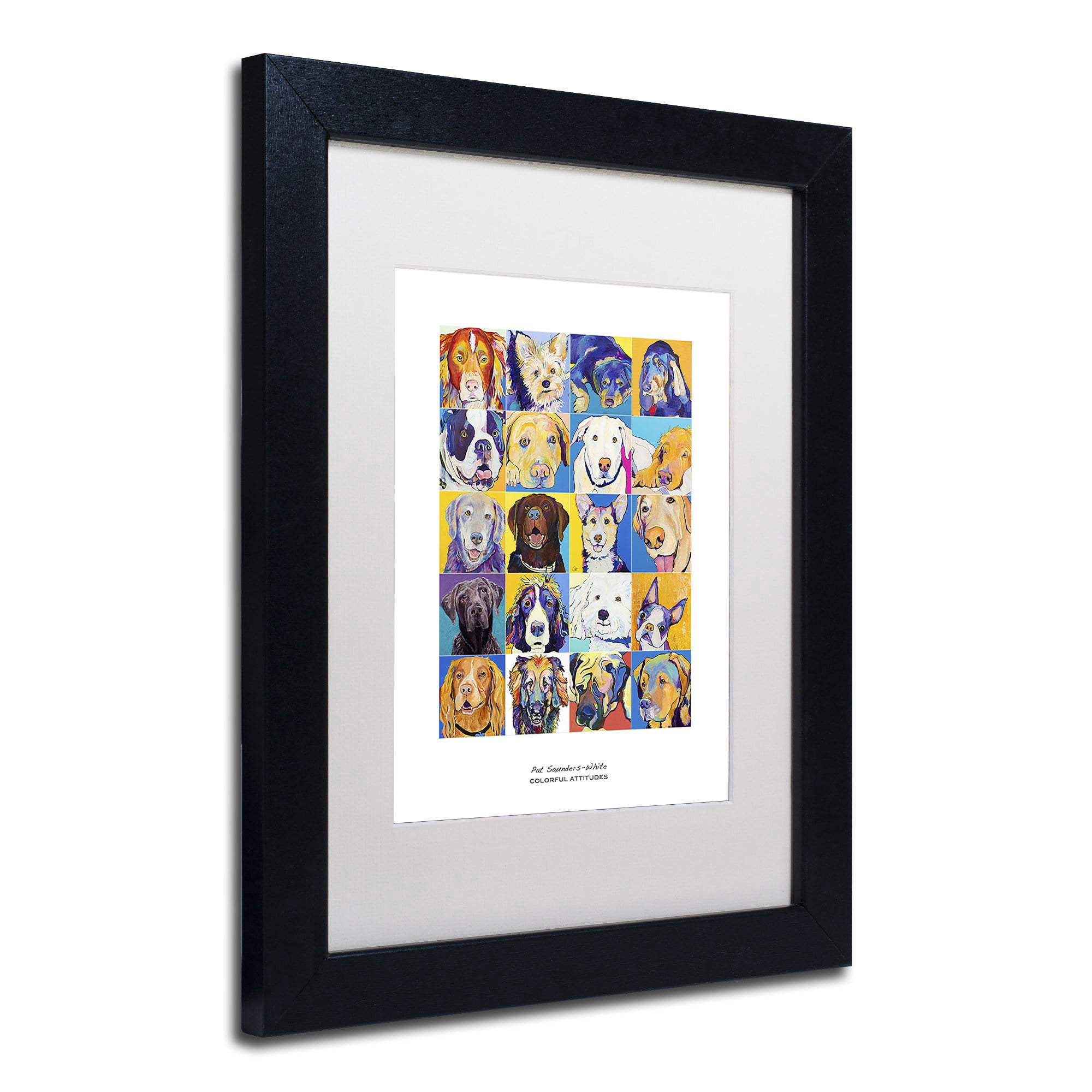Trademark Fine Art "Colorful Attitudes Poster" Canvas Art by Pat Saunders-White, White Matte, Black Frame