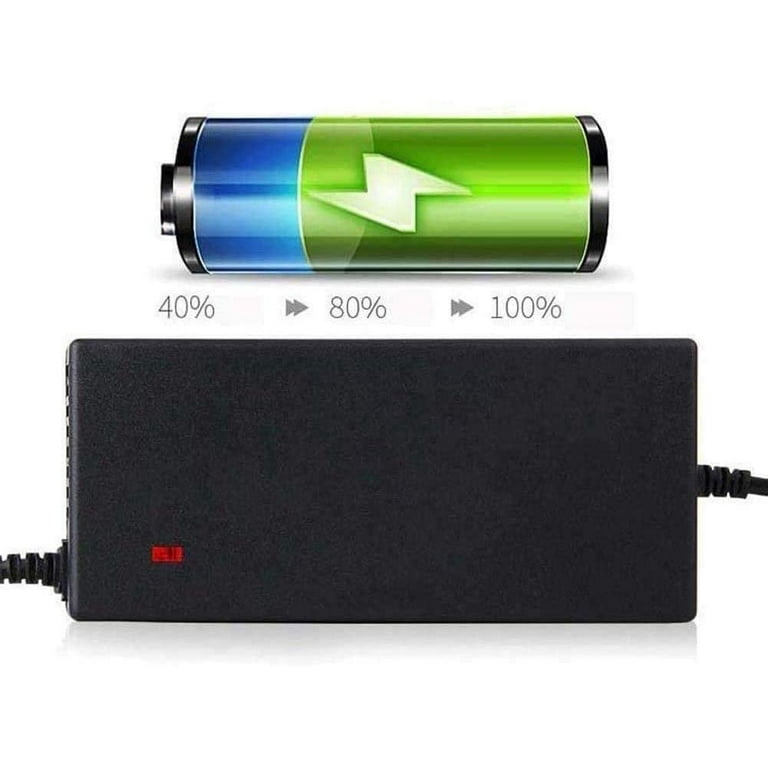Chargeur de Batterie Multi-Plug 54,6V/2A-110W