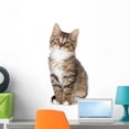 thumbnail image 1 of Cute TabWall Decal by Kitten White Wall Decal by Wallmonkeys Peel and Stick Graphic (24 in H x 12 in W) WM209867, 1 of 4