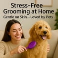 thumbnail image 3 of Poodle Pet Round Soft Bristle Hair Brush Pet Grooming Tool for Dogs & Cats, Purple, 3 of 10