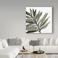 thumbnail image 3 of Trademark Fine Art 'Tropical Palm III BW' Canvas Art by Chris Paschke, 3 of 3