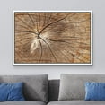 thumbnail image 2 of wall26 Framed Canvas Print Wall Art Close Up of Brown Tree Wood Rings Nature Wilderness Photography Rustic Modern Floral Relax/Calm Multicolor for Living Room, Bedroom, Office - 16"x24" Whi, 2 of 5