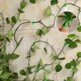 thumbnail image 1 of YAOMOBB Wall-mounted Plant Clips Sturdy Self adhesive Green Plant Clips Wall Fixture Clips for Climbing Vines Support, 1 of 5