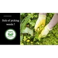 Organic Corn Gluten Fertilizer by 15 lbs. (Preemergent Herbicide