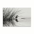 thumbnail image 2 of Gango Home Decor Bird 1 by Lee Peterson (Printed on Paper); One 36x24in Fine Art Paper Giclee Print, 2 of 4