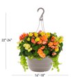 thumbnail image 4 of Better Homes & Gardens 10 in Multicolor Begonia Live Annual Plant in 2 gal Hanging Basket, Sun-Loving, 4 of 7