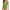 Green#03, variant on Leesechin Womens Swim Suits Clearance Swimwear Bikini One Piece Push-Up Padded Bathing Backless Beachwear