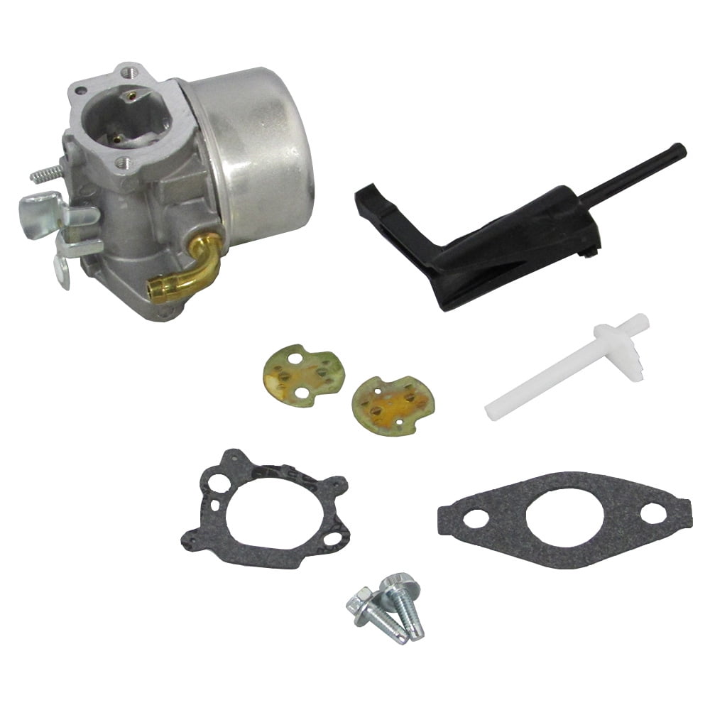 Briggs /& Stratton Carburetor 798653 697354 790290 698860 696981 791077 OEM Carb