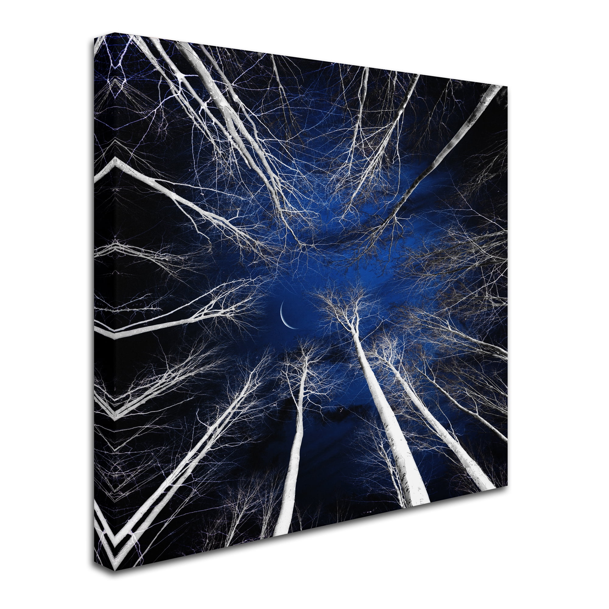 Trademark Fine Art "Renegades" Canvas Art by Philippe Sainte-Laudy