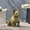Gold#GLD, variant on Garden Accessories DOG GARDEN SCULPTURE, Outdoor French Bulldog Garden Statue, Rustic Gold, No Assembly Required,Outdoor Garden Accessories