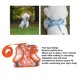 thumbnail image 3 of Chaleco para caminar para mascotas arnés con correa transpirable ajustable ANGGREK Otros, 3 of 8