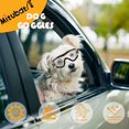 thumbnail image 3 of Gafas para Perros Mitubati para Razas Pequeñas con Protección UV, 3 of 6