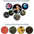 thumbnail image 3 of Automatic Aquarium/fish Feeder, Multifunctional Adjustable Digital Fish Feeder Timer, 175ml Capacity, 3 of 3