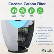LivePure LP1700FAP Bladeless Auto-Duster, Oscillating Fan w/Filter, Graphite