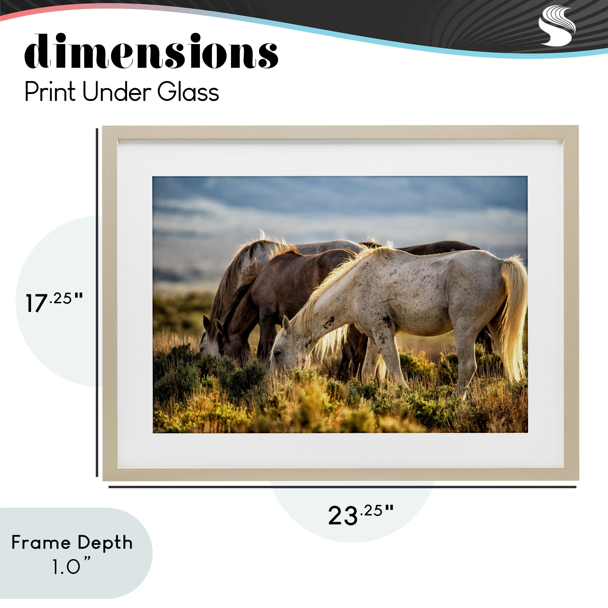 Stupell Industries Equine Evening Graze Birch Framed Print Under Glass, design by Tim West