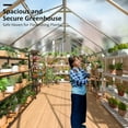 thumbnail image 6 of MUCHANT 8x12 FT Greenhouse for Outdoors, Walk-in Large Aluminum Frame Greenhouse with Quick Setup Structure and Roof Vent for Garden Backyard, Silver, 6 of 6