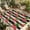 Crimson Black Beige, variant on Pink Flamingo Outdoor Rug for Patio/Deck/Porch, Non-Slip Large Area Rug 3 x 5 Ft, Palm Leaf Black Striped Tropical Plant Indoor Outdoor Rugs Washable Area Rugs, Reversible Camping Rug Carpet Runner