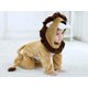 thumbnail image 4 of Ropa infantil ca ropa infantil linda capucha infantil si ropa animal 0 - 3 meses, 4 of 5
