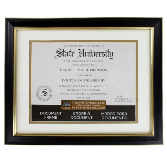 Studio Decor 8.5" x 11" Black & Gold Document Frame with Double Mat